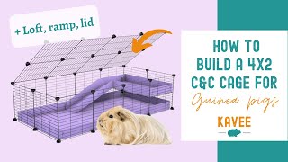 How to Build a 4x2 C&C Cage with a Loft, Ramp, and Lid