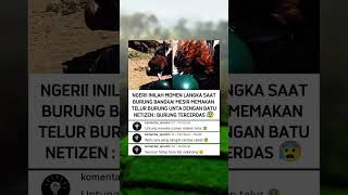 Download lagu Scary! This Smart Bird Uses a Secret Way to Eat 😰!?#shorts #trending mp3