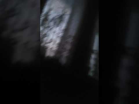 Землятресение