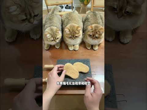 【牛奶是只猫】我家猫咪也有第一双高跟鞋啦