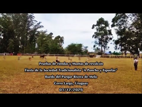 Pruebas de riendas... - A Poncho y Espuelas - Ruedo del Parque Rivera, Melo 07/12/2025