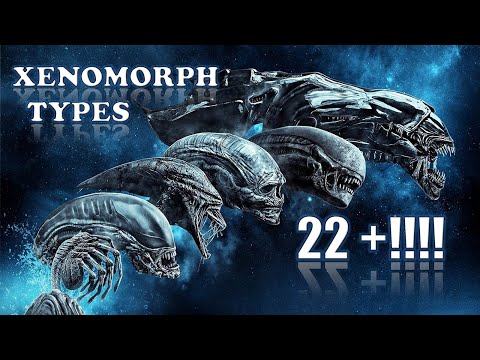 All  XENOMORPH Types  Explained