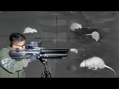 Nightmare Rat Hunt Gone Wild | RTI Mora with Thermal Scope