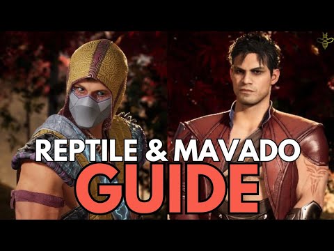 Reptile & MAVADO Guide By HoneyBee! Everything You Need to Know!