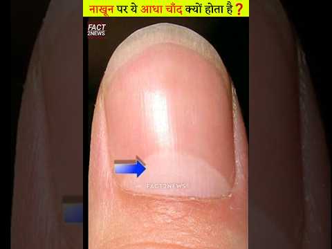नाखून पर आधा चाँद क्यों होता है❓️| Half moon on nails | #shorts #ytshorts #facts