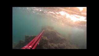 Γοφάρι "Easy Come - Easy Go"!....