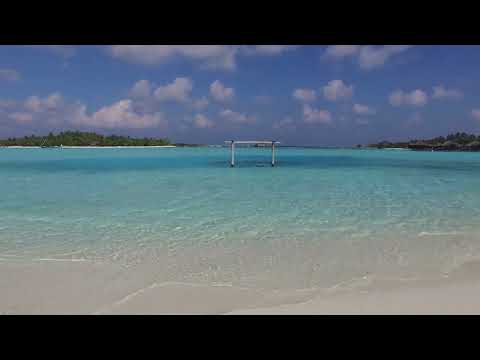 Waves on Saona Island - Relaxing Beach Sounds of the Caribbean Sea For Study, Meditation and Sleep