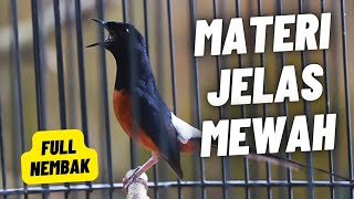 Download lagu MURAI BATU GACOR FULL ISIAN TEMBAKAN MEWAH MATERI JELAS AMPUH MELATIH MURAI BONGKAR ISIAN mp3