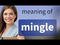 Mingle | meaning of MINGLE