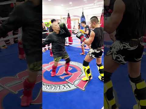 ローキックからミドルキック　基本のコンビネーションを成功させる秘密