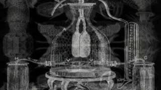 TAGC ISO EROTIC CALIBRATION