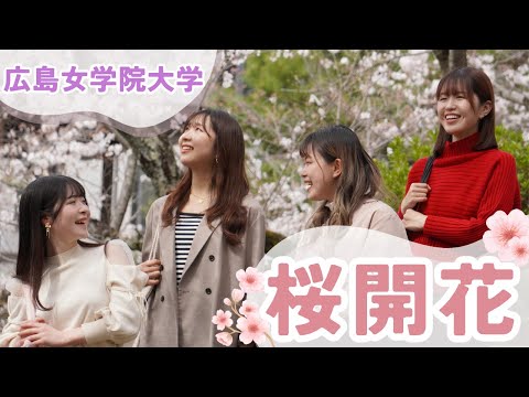 広島女学院大学　キャンパスさくら