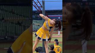 《Passion Sisters》白白_陳子豪HOME RUN歡呼曲~我的兄弟（台湾チアリーディングチーム 2024/6/18）