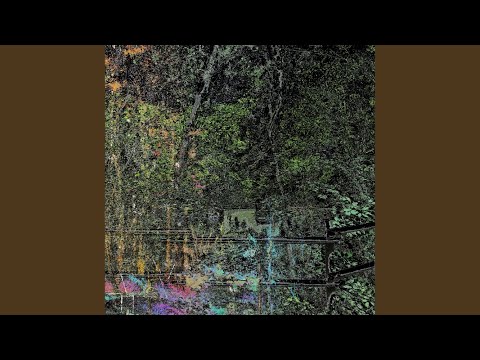 Thumbnail for Into the Endless Night (Live)