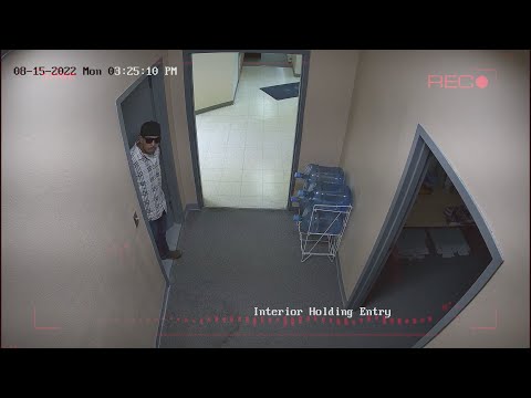 VIDEO: Man escapes police custody in handcuffs