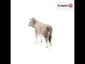 Schleich figūrėlė Braunvieh veislės karvė