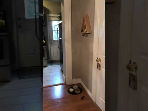 5820 Alder Street - Video 2 of 2