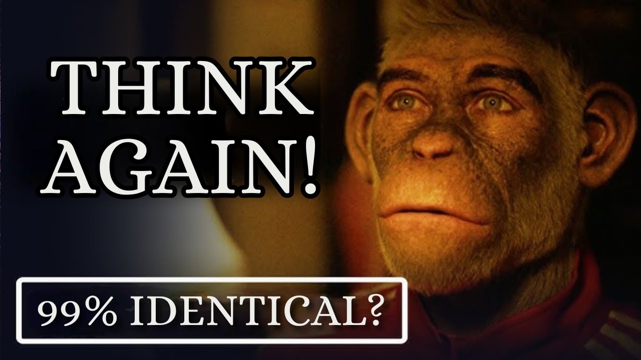 99% IDENTICAL TO APES? | Timothy Standish, Ph. D.