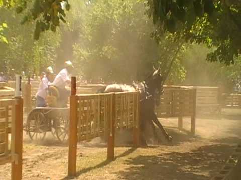 KECSKEMET-MS2009- Ladislav Jirgala- 4.překážka