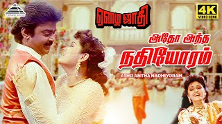 Download lagu Adho Andha Nadhiyoram | 4K Video Song | Ezhai Jaathi | Vijayakanth | Jaya Prada | Ilaiyaraaja mp3