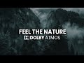 FEEL THE NATURE With Powerfull Dolby Atmos Surround Sound Dolbyatmos Dolbyvision Dolbyatmosmusic