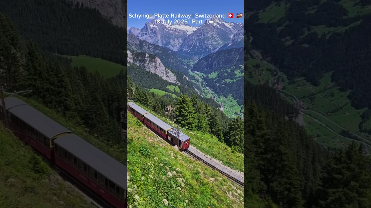 YouTube Short thumbnail