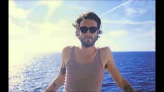 father john misty - well, you can do it without me