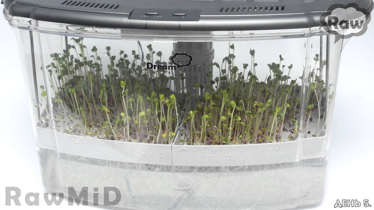 Проращиватель RawMID Dream Sprouter SDM-02 (затемненный корпус)