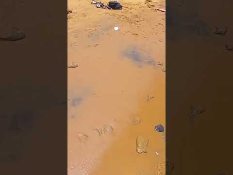 Pesca y vacaciones en PASO DE LA PATRIA, CORRIENTES 2026. No son pirañas, son mojarras.