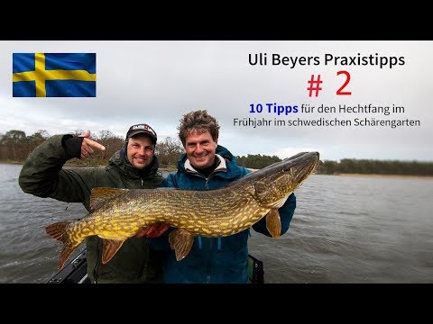 Pike in Sweden: Fishing tips for the start of the season
