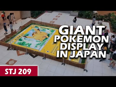 Japan's BIGGEST Pokemon Card Display | STJ 209