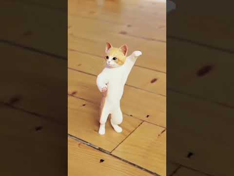 Jojo Jojo Jojo #trendingshorts #youtubeshorts #viralshorts