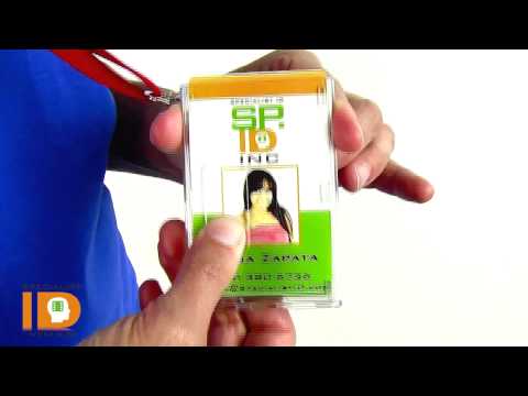 Rigid wear clear vertical 2-card badge holder