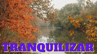 Msica celta para ajudar a tranquilizar , dormir e meditar