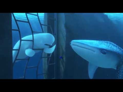 Le Monde de Dory - Extrait : C’est normal d'avoir une grosse tête !