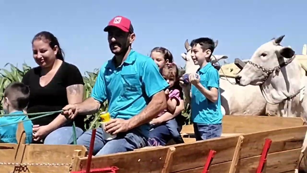 Encontro de carroceiros no município de Taquarucu do Sul R S