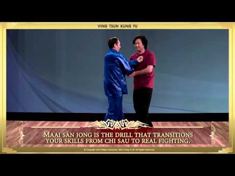 Preview: Wayne Belonoha - Ip Man Wing Chun Blu-Ray 04 - Steps 37-48 of 108 Complete System