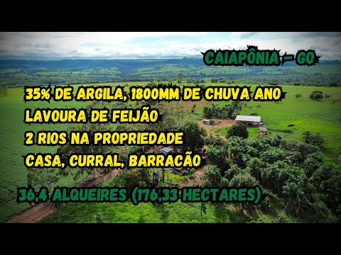 FAZENDA À VENDA EM CAIAPÔNIA-GO | 36,4 ALQUEIRES | LAVOURA, 2 RIOS E EXCELENTE LOGÍSTICA