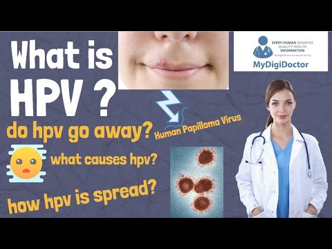 Human papillomavirus types anogenital warts