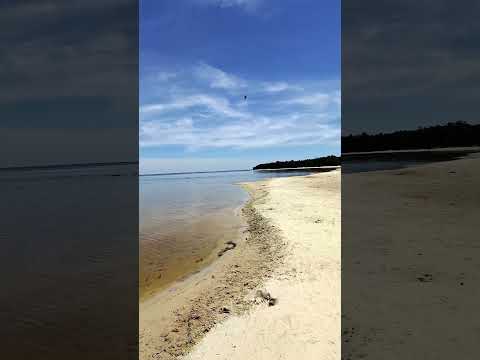 sangregorio de Polanco Tacuarembo