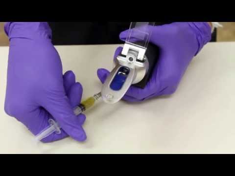 Dr. Sara May, Allergy and Immunology