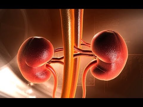 Dill gegen Bluthochdruck Geschichte von Bluthochdruck, Geschichte