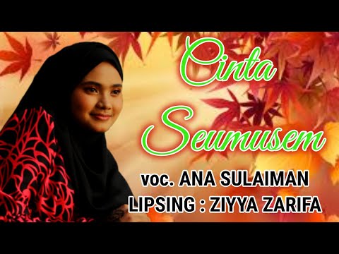 CINTA SEUMUSEM  - ANA SULAIMAN - Lips by ZIYYA ZARIFA (Official Lyric Video)
