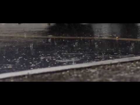 Steve Jansen "Live Moves On"