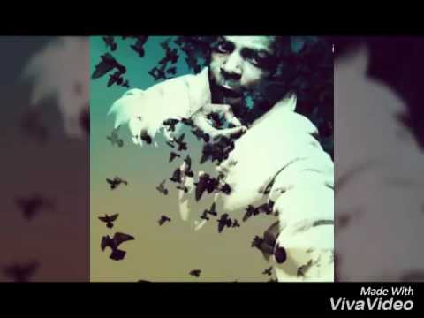 Zell Gotti - Shooter