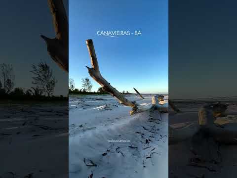 Sente essa paz! #bahia #investimentoimobiliario #qualidadedevida #vidanapraia