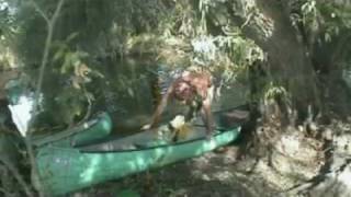 preview picture of video 'Birdwatching in Danube Delta ROMANIA, ecotravel august 2009'