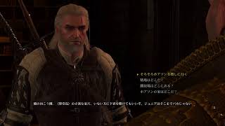PS5 ウィッチャー3 まったり