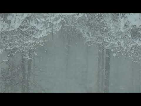 Narcoleptic Empire - Narcoleptic Empire - Eternal Snow