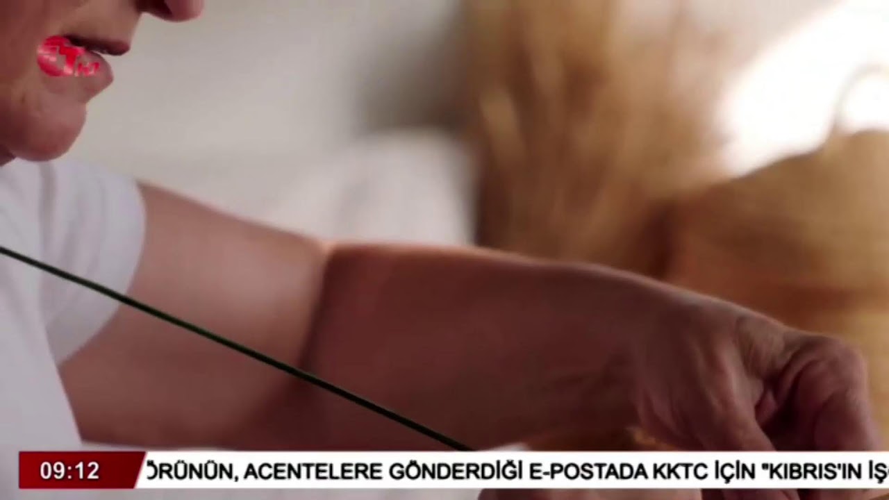 22 Ağustos 2024 Gün Başlarken